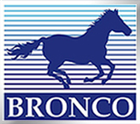 Bronco Models